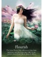 Pocket Oracle of the Fairies by Karen Kay & Ginger Kelly